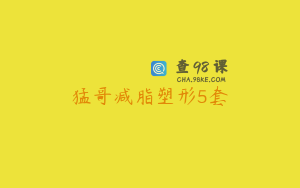 猛哥减脂塑形5套