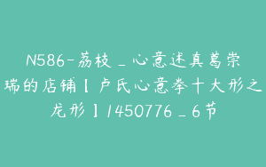 N586-荔枝_心意述真葛崇瑞的店铺【卢氏心意拳十大形之龙形】1450776_6节