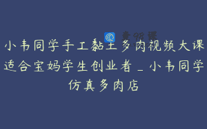 小韦同学手工黏土多肉视频大课适合宝妈学生创业者_小韦同学仿真多肉店