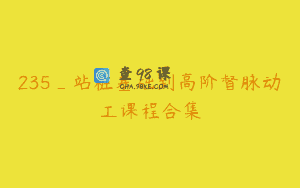 235_站桩基础到高阶督脉动工课程合集