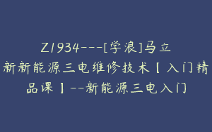 Z1934—[学浪]马立新新能源三电维修技术【入门精品课】–新能源三电入门
