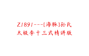 Z1891—[海豚]孙氏太极拳十三式精讲版