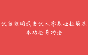 武当微明武当武术零基础拉筋基本功松身功法