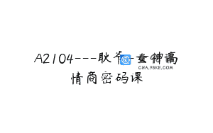 A2104—耿爷-女神高情商密码课