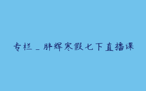 专栏_胖辉寒假七下直播课