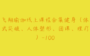 飞翔瑜伽线上课程合集健身（体式突破、人体塑形、团课、理疗）-100