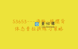 S3653—海豚-摇摆背体态普拉提练习策略