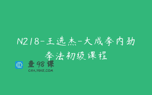 N218-王选杰-大成拳内劲拳法初级课程