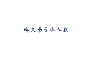 晓文弟子班私教