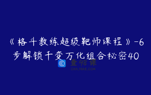 《格斗教练超级靶师课程》-6步解锁千变万化组合秘密40