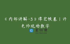《内部讲解-3》谭宏帙墓丨许老师现场教学