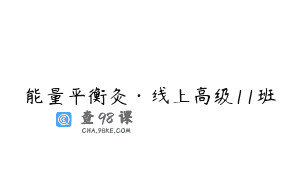 能量平衡灸·线上高级11班