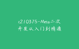 c210375-Meta二次开发从入门到精通