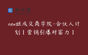 new姐成交商学院-合伙人计划【营销引爆财富力】