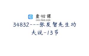 34832---张发智先生功夫说-13节
