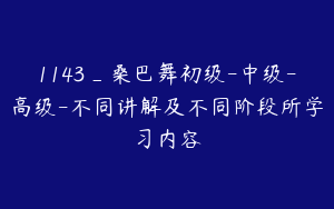 1143_桑巴舞初级-中级-高级-不同讲解及不同阶段所学习内容