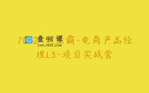 7052-老王霸-电商产品经理L3-项目实战营