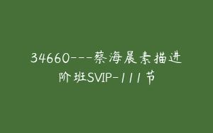 34660---蔡海晨素描进阶班SVIP-111节