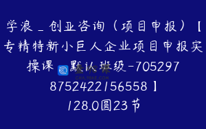 学浪_创亚咨询（项目申报）【专精特新小巨人企业项目申报实操课：默认班级-7052978752422156558】128.0圆23节