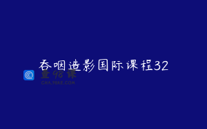 吞咽造影国际课程32
