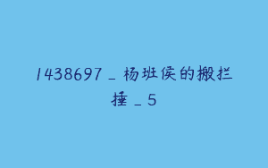 1438697_杨班侯的搬拦捶_5