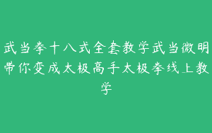 武当拳十八式全套教学武当微明带你变成太极高手太极拳线上教学