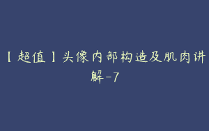 【超值】头像内部构造及肌肉讲解-7
