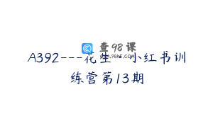 A392---花生·小红书训练营第13期