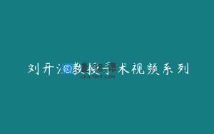 刘开江教授手术视频系列