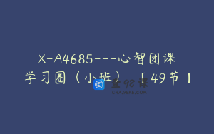 X-A4685---心智团课学习圈（小班）-【49节】