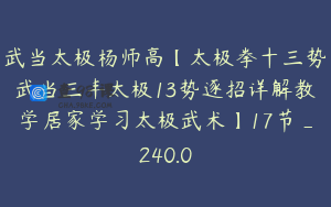 武当太极杨师高【太极拳十三势武当三丰太极13势逐招详解教学居家学习太极武术】17节_240.0