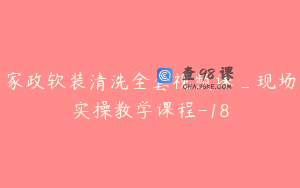 家政软装清洗全套视频课_现场实操教学课程-18