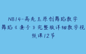 N814-高先玉原创舞蹈教学舞蹈《妻子》完整版详细教学视频课12节