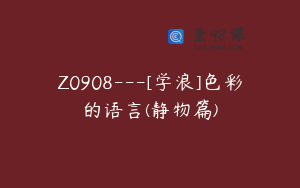Z0908---[学浪]色彩的语言(静物篇)