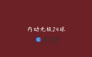 内动无极24球