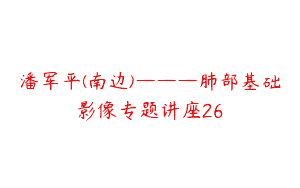 潘军平(南边)———肺部基础影像专题讲座26
