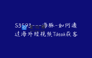 S3593—海豚-如何通过海外短视频Tiktok获客