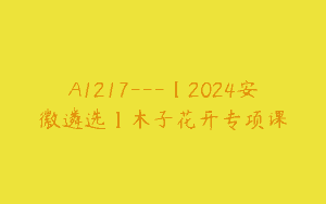 A1217—【2024安徽遴选】木子花开专项课