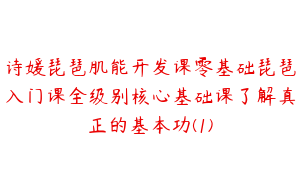 诗媛琵琶肌能开发课零基础琵琶入门课全级别核心基础课了解真正的基本功(1)