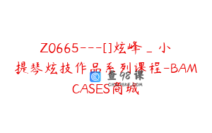Z0665---[]炫峰_小提琴炫技作品系列课程-BAMCASES商城
