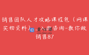 销售团队人才攻略课程包（网课实物资料）_入微咨询-教你做销售87