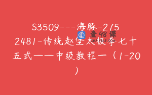 S3509—海豚-2752481-传统赵堡太极拳七十五式——中级教程一（1-20）