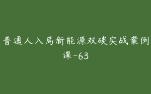 普通人入局新能源双碳实战案例课-63