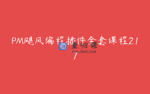 PM飓风编程插件全套课程217