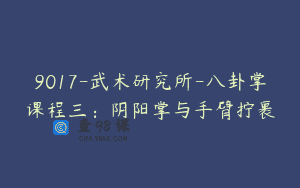 9017-武术研究所-八卦掌课程三：阴阳掌与手臂拧裹