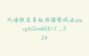 风墙铁韭菜板后强势战法appzy4s2nmb5317_224