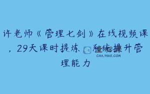 许老师《管理七剑》在线视频课，29天课时提炼，系统提升管理能力