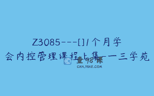 Z3085—[]1个月学会内控管理课程上集-一三学苑