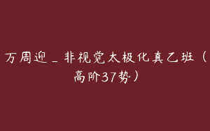万周迎_非视觉太极化真乙班（高阶37势）