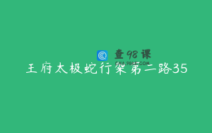 王府太极蛇行架第二路35